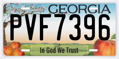 GA license plate PVF7396