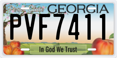 GA license plate PVF7411