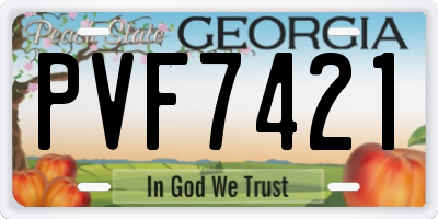GA license plate PVF7421
