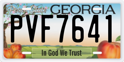 GA license plate PVF7641