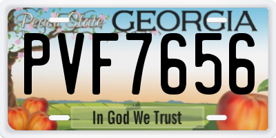 GA license plate PVF7656
