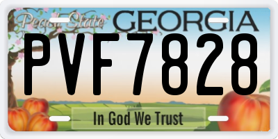 GA license plate PVF7828