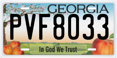 GA license plate PVF8033