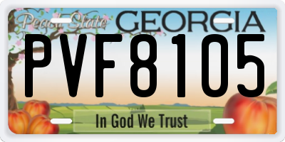 GA license plate PVF8105