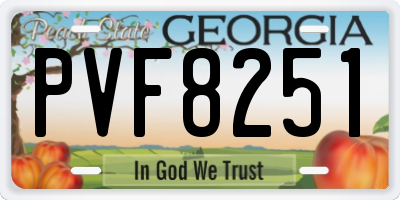 GA license plate PVF8251