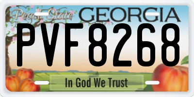 GA license plate PVF8268