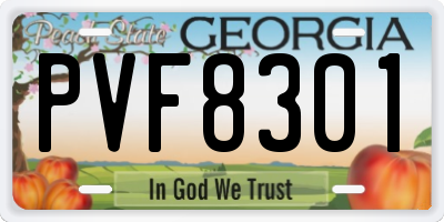 GA license plate PVF8301