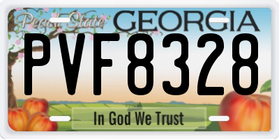 GA license plate PVF8328