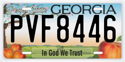 GA license plate PVF8446