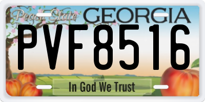 GA license plate PVF8516