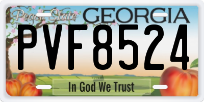 GA license plate PVF8524