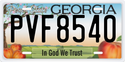 GA license plate PVF8540