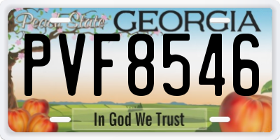 GA license plate PVF8546