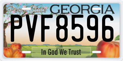 GA license plate PVF8596