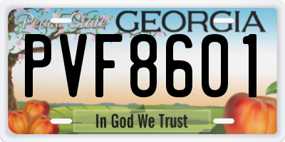 GA license plate PVF8601