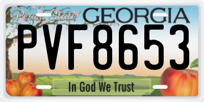 GA license plate PVF8653