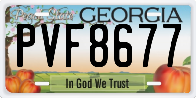 GA license plate PVF8677