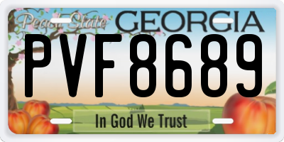 GA license plate PVF8689