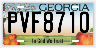 GA license plate PVF8710