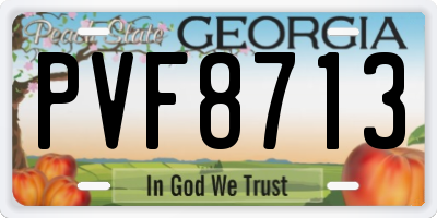 GA license plate PVF8713
