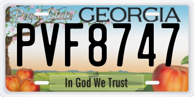 GA license plate PVF8747