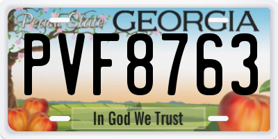 GA license plate PVF8763