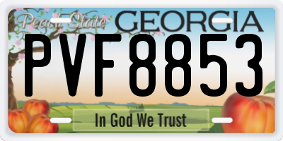 GA license plate PVF8853