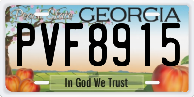 GA license plate PVF8915