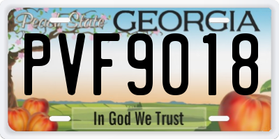 GA license plate PVF9018