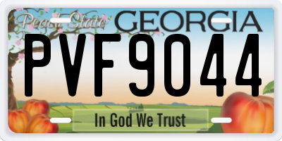 GA license plate PVF9044