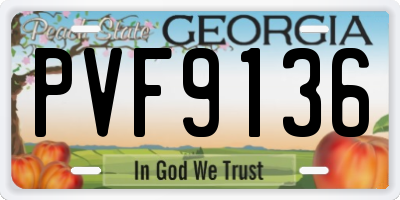GA license plate PVF9136