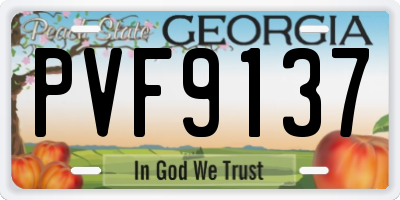 GA license plate PVF9137