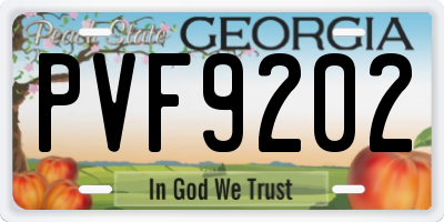 GA license plate PVF9202