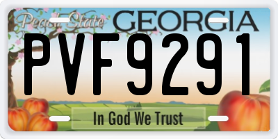 GA license plate PVF9291