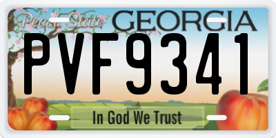 GA license plate PVF9341