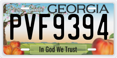 GA license plate PVF9394