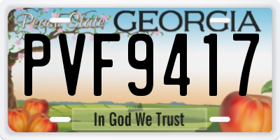 GA license plate PVF9417
