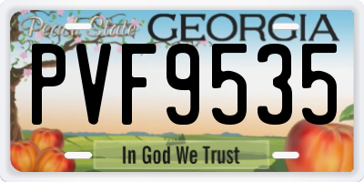 GA license plate PVF9535