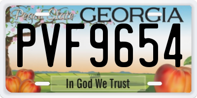 GA license plate PVF9654