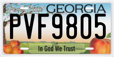 GA license plate PVF9805