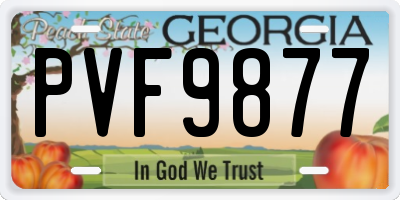 GA license plate PVF9877