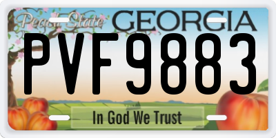 GA license plate PVF9883