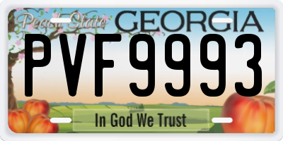 GA license plate PVF9993