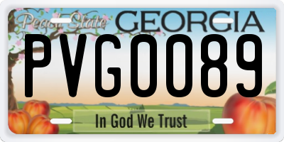 GA license plate PVG0089