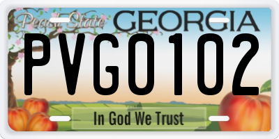 GA license plate PVG0102