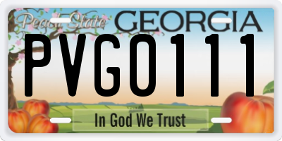 GA license plate PVG0111
