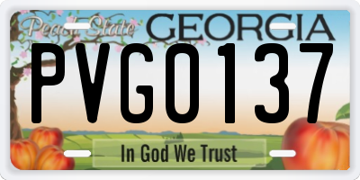GA license plate PVG0137