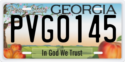 GA license plate PVG0145