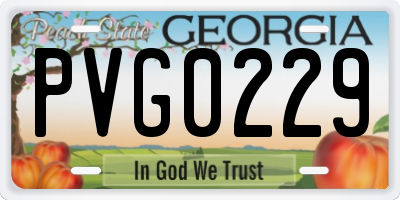 GA license plate PVG0229