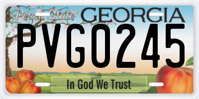 GA license plate PVG0245